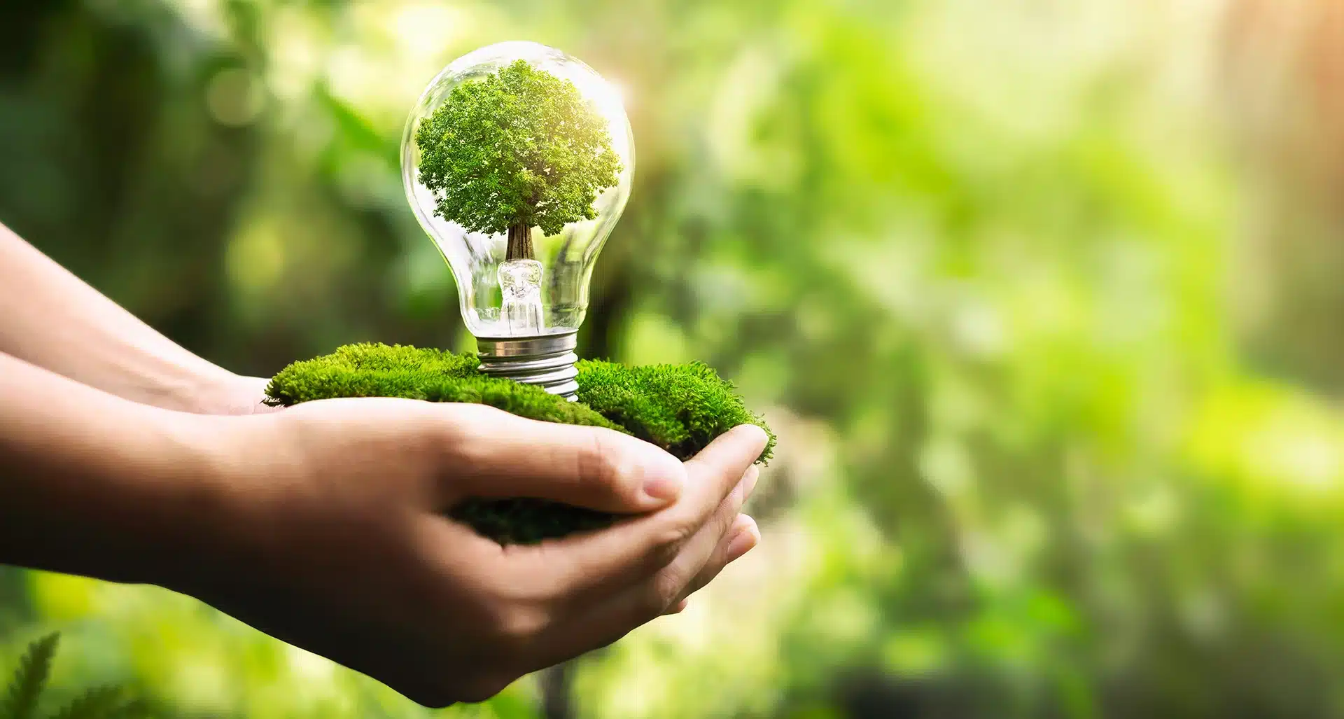 Tiết kiệm điện giúp bảo vệ tài nguyên thiên nhiên 